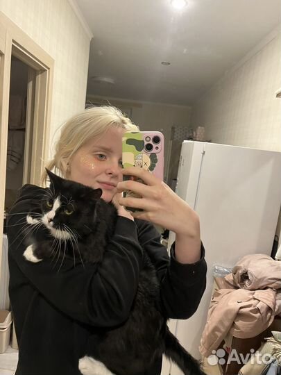 Работа барменом