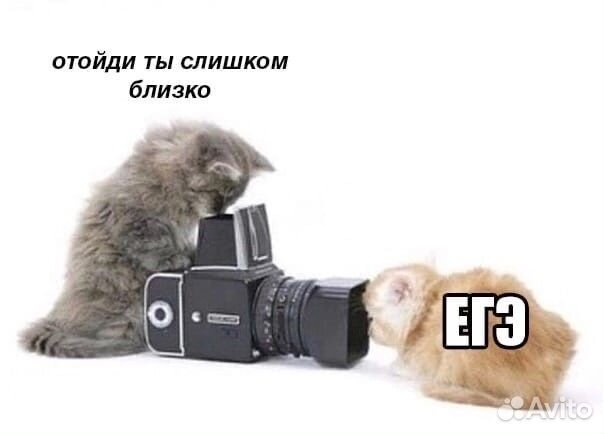 Репетитор по обществознанию егэ/огэ