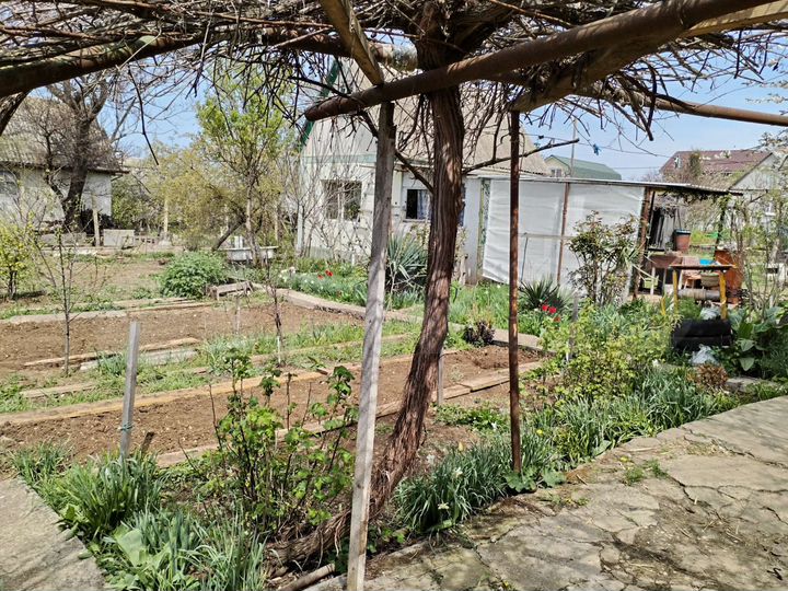 Участок 6,3 сот. (СНТ, ДНП)