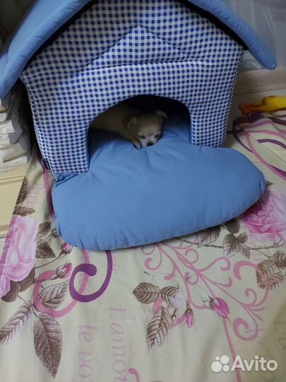 Продам домик для щенка