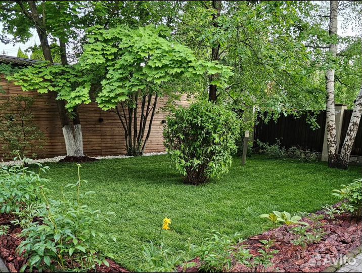 Рулонный газон доставка спортивный