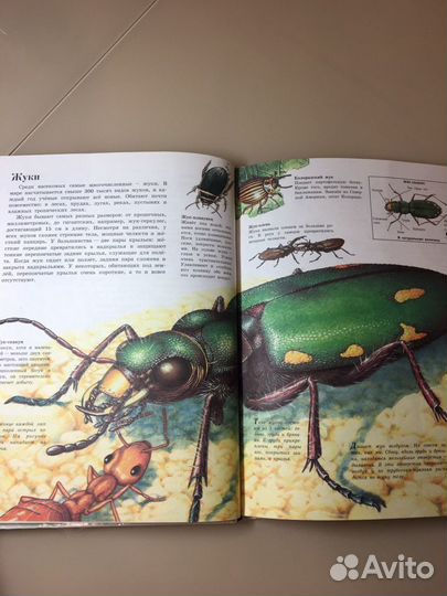 Книги о животных