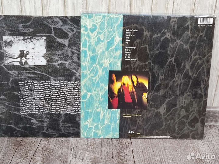Виниловая пластинка Nirvana