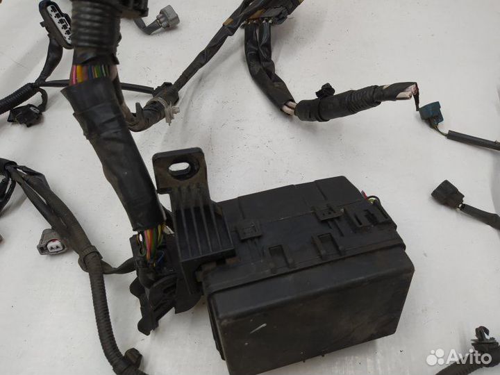 Б/У Б/У Проводка двигателя Европа с двигателя