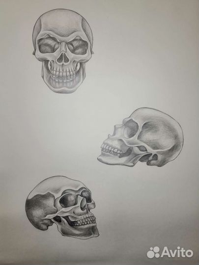 Художник академический рисунок и живопись портреты