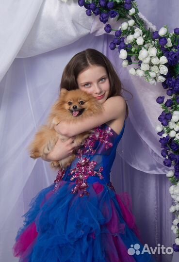 Фотосессия с померанским шпицем