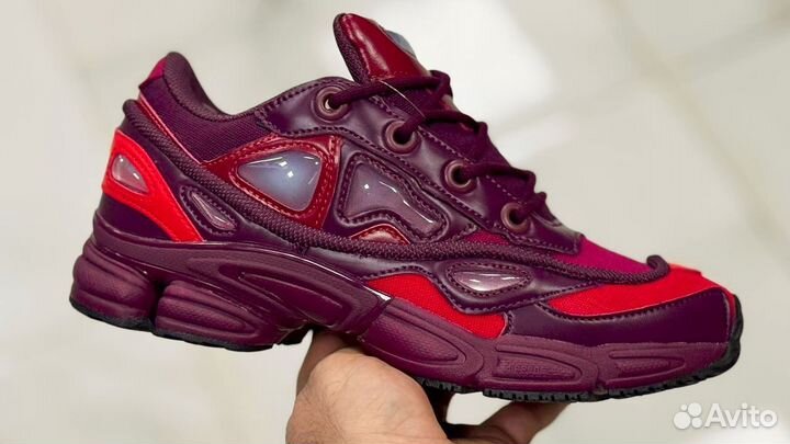 Raf simons ozweego 3 burgundy