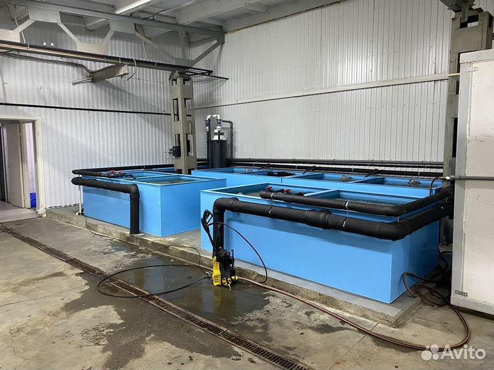 Аквариумы для устриц, раков в рестораны