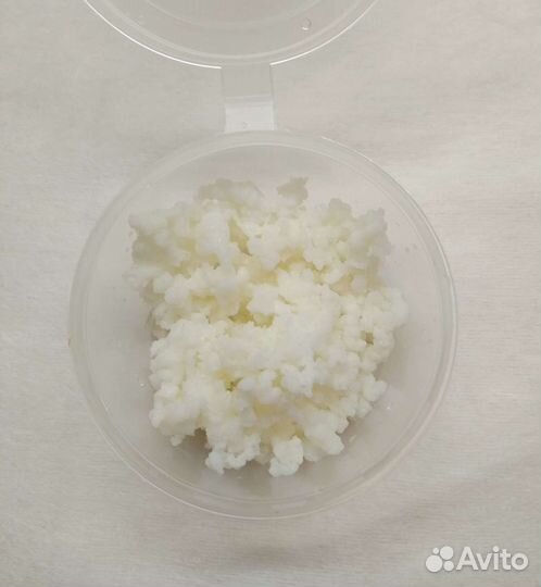 Тибетский кефирный (молочный) гриб