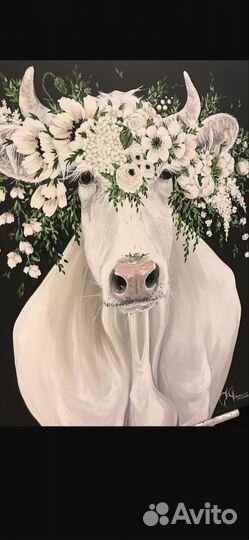 Осеменение коров