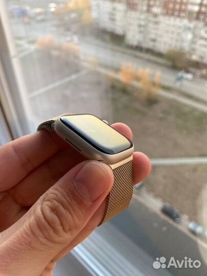 Apple watch series 8