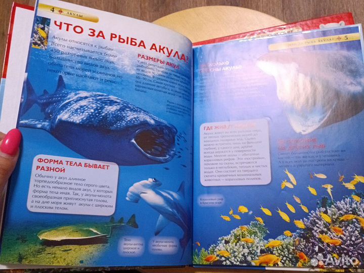 Детская энциклопедия про животных для детей 3+