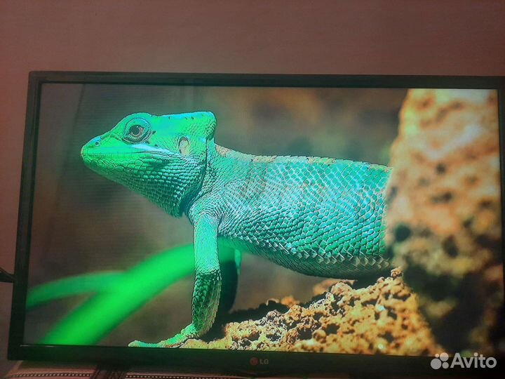 Телевизор LG 32