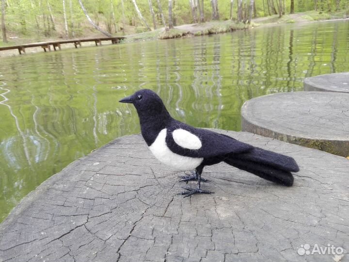 Войлочная сорока