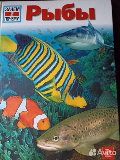 Энциклопедия 