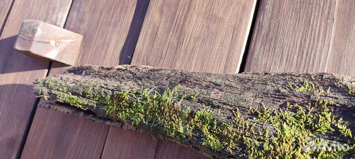 Коряга для декора