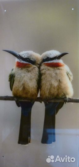 Фотопанно на стекле, модульные картины