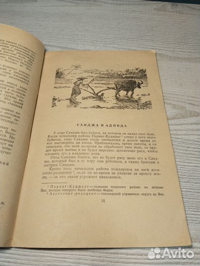 Саиджа и Адинда, Мультатули, 1955