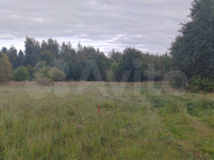 Участок 6,54 га (СНТ, ДНП)