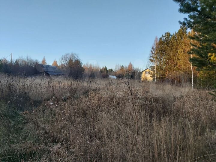 Участок 10 сот. (СНТ, ДНП)