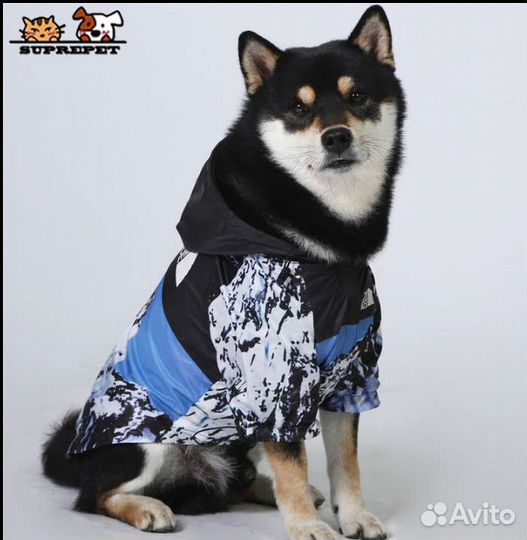 Дождевик-куртка для собак