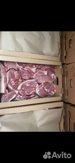 Мясо свинина свежая