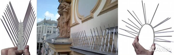 Отлов птиц на складах и в торговых залах