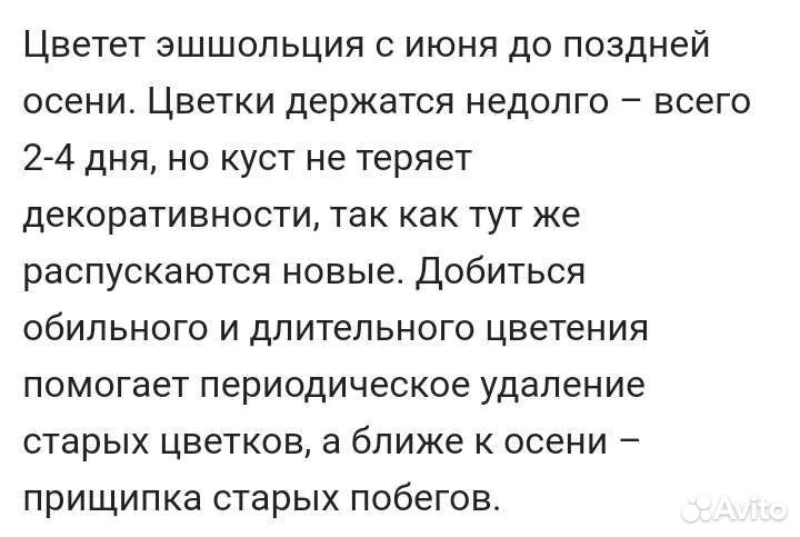 Многолетние цветы