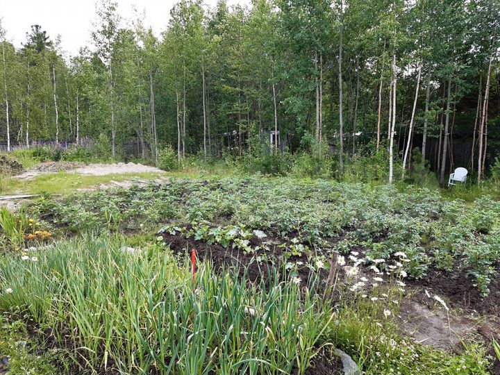 Дача 28 м² на участке 9 сот.