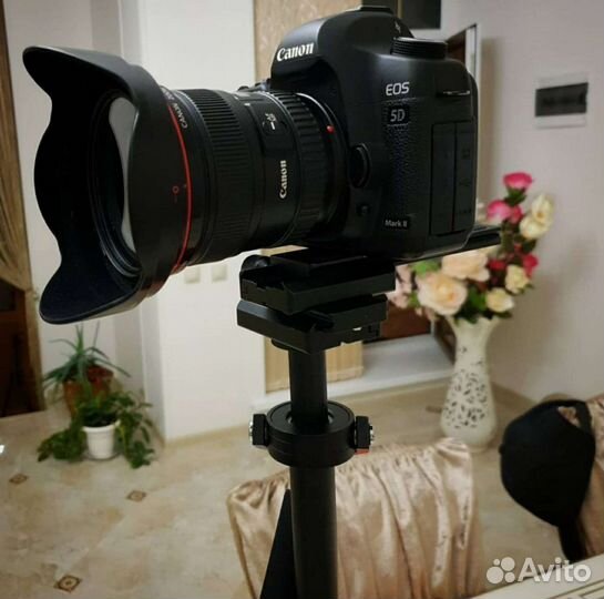 Canon 5D mark ii
