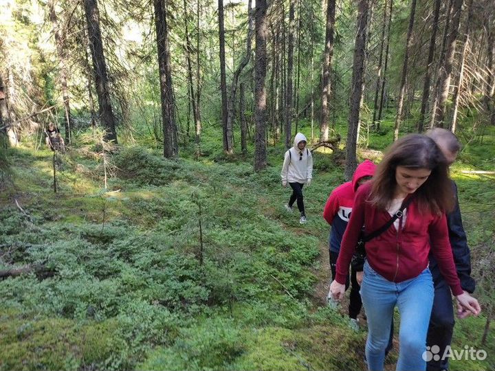 Экскурсия — Сортавала — Лешего бояться— Карелию не