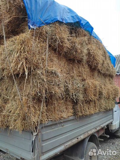 Сено и солома
