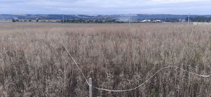 Участок 15 сот. (ИЖС)