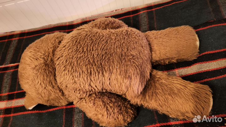 Гоночная машина, медведь из СССР и заяц барабанщик