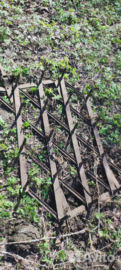 Борона зубовая