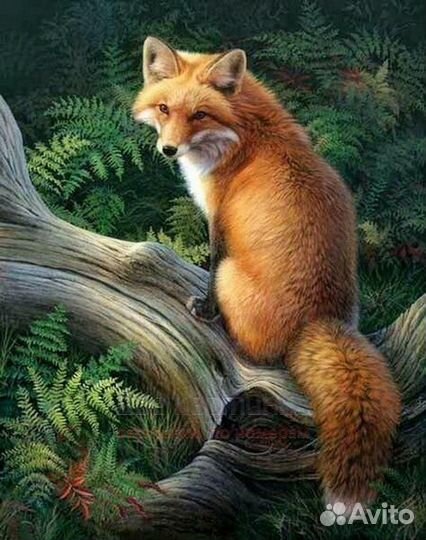 Картина по номерам 40x50 Хитрая лисичка в зарослях