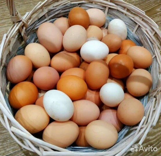 Домашние куриные яйца