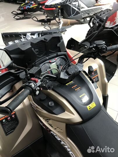 Снегоболотоход aodes Pathcross 1000L MUD PRO EPS