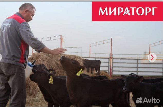 Разнорабочий