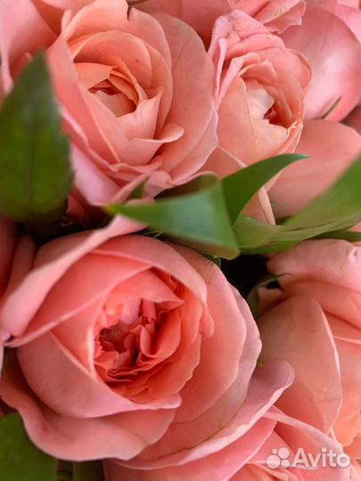 Букет из роз