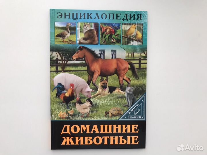 Книги детские энциклопедии