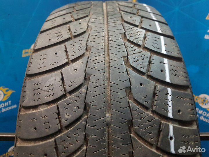 Gislaved Nord Frost 5 195/55 R15