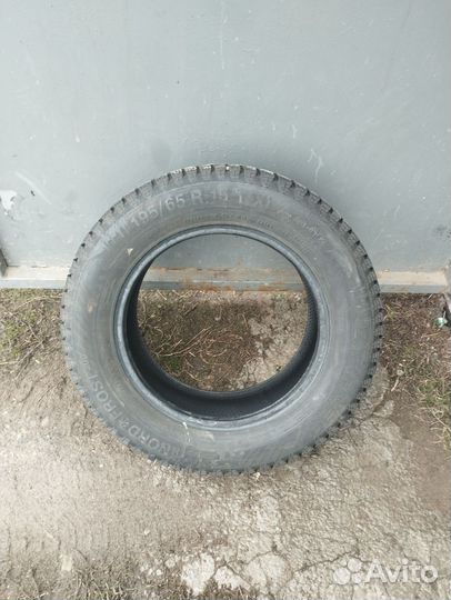 Accelera Accelera 5.00/5 R5