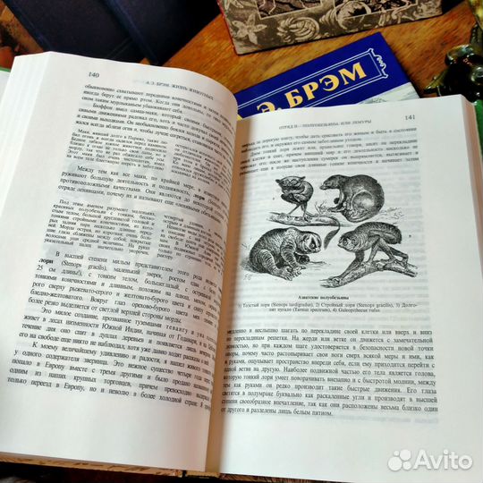 А.Э. Брэм Жизнь животных
