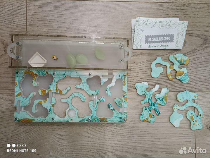 Ферма для муравьев