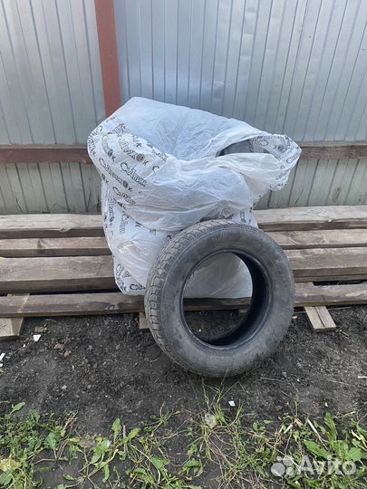 Pirelli Winter Ice Zero 185/65 R14