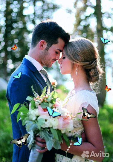 Салют из Живых Тропических Бабочек с/б-15