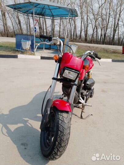 Сузуки Стрит