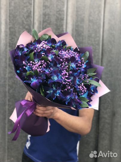 Орхидея дендробиум небесные цветы