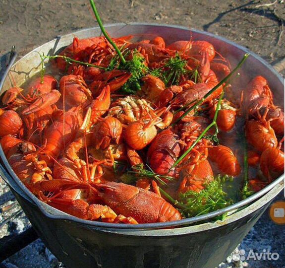 Живые раки